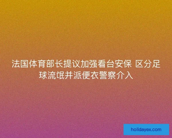 法国体育部长提议加强看台安保 区分足球流氓并派便衣警察介入